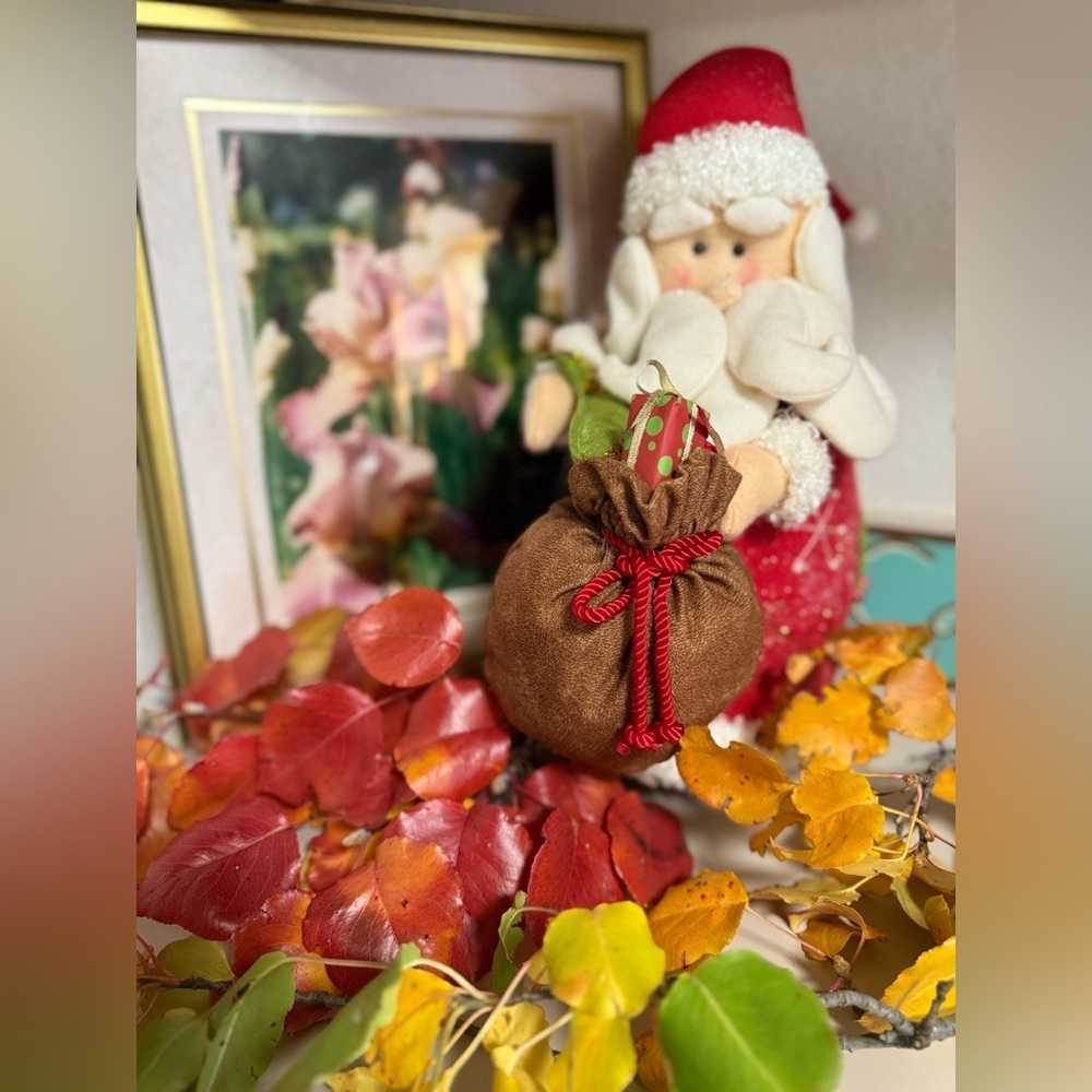 Jolly Santa Claus Decoration with Brown Gift Bag